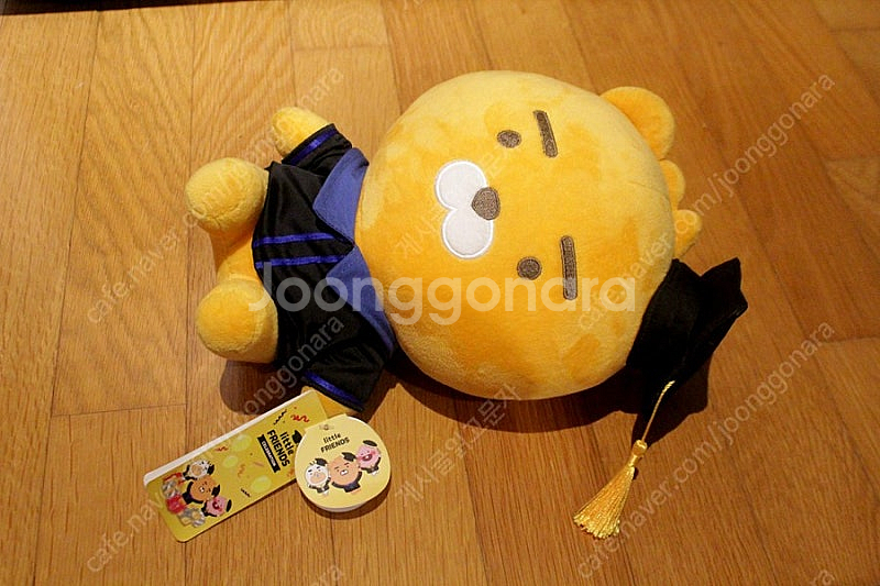 카카오프렌즈 새상품 라이언 졸업식 라이언인형 리틀라이언 리틀프렌즈 인형 곰인형 테디베어 곰돌이인형 애착인형 졸업선물...--0